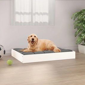 vidaXL Cama para cães 71,5x54x9 cm madeira de pinho maciça branco
