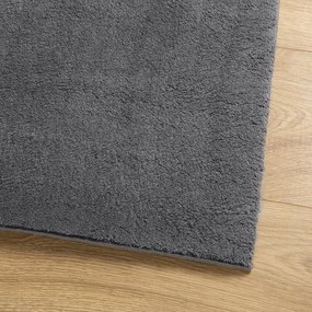 Tapete pelo curto macio e lavável HUARTE 240x340 cm antracite