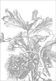 Papel de parede Engraved Flowers