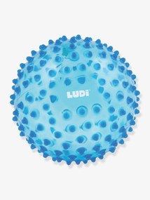 Bola sensorial, LUDI azul