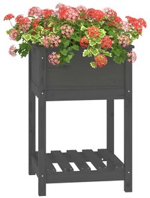 Vaso/floreira com prateleira 54x54x81 cm pinho maciço cinza