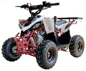 MINI MOTO 4 INFANTIL GASOLINA 125cc 6'' PREDATOR VERMELHA