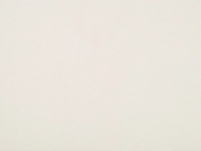 Conjunto 2 espreguiçadeiras madeira clara e 2 lonas brancas e padrão folha ANZIO Beliani