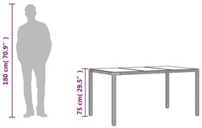 Mesa de jardim com tampo de vidro 150x90x75 cm vime PE preto