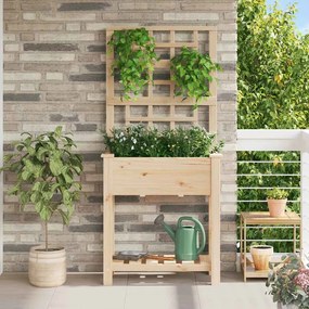 Jardineira vidaXL com Treliça e Prateleira 71x37x152 cm Madeira Sólida