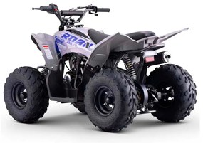 MINI MOTO 4 GASOLINA PARA CRIANÇAS velocidade até 45Km/h C/Limitador DAKAR 110cc Automática