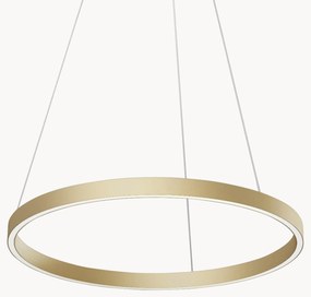 Candeeiro suspenso LED grande Rim