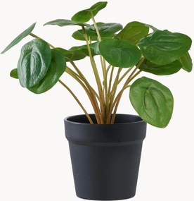 Planta artificial Pelia