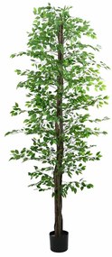Planta de Ficus artificial 2016 folhas 300 cm verde
