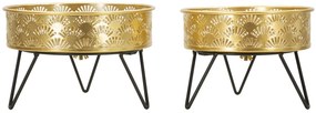 PAR P/VASES ZANNY CM Ø 20,5X13-18X13
