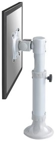 Suportes Monitor de Mesa 10 - 26 FPMA-D025 Silver Newstar