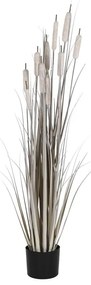 Planta Decorativa Dkd Home Decor Juncos (35 X 35 X 120 cm)