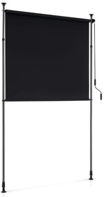 Toldo retrátil vertical 250 x 220-310 cm enrolável para exterior com altura ajustável com manivela para varanda ou piscina Preto