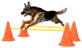 150951 vidaXL Conjunto de obstáculos para atividades caninas laranja/amarelo