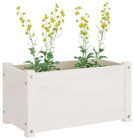 Vaso/floreira de jardim 60x31x31 cm pinho maciço branco