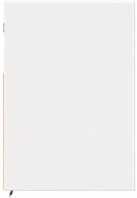 Móvel de parede para TV com luzes LED 100x31x45 cm branco