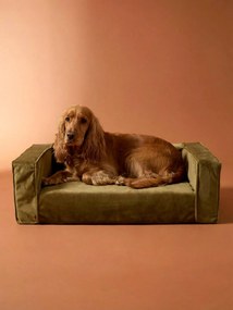 Sofá em veludo, para cão médio bronze