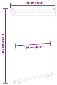 Toldo lateral para varanda 125x250 cm cinzento