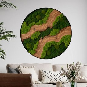 Autocolante musgo - Equilíbrio natural