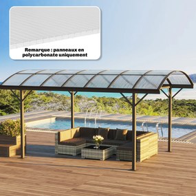 Conjunto 10 placas alveolares de policarbonato de 4 mm, resistentes aos raios UV, painel alveolar duplo para estufas, 120 x 60 cm, transparentes