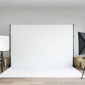 vidaXL Suporte para fundo fotográfico 305x243 cm aço preto