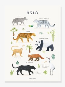 Póster Animais da Ásia, Living Earth da LILIPINSO cinzento