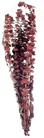 Ramo de flores secas vermelho escuro 56 cm BADAJOZ Beliani
