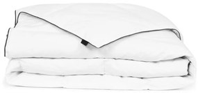 132881 vidaXL Edredão de inverno penugem 150x200 cm