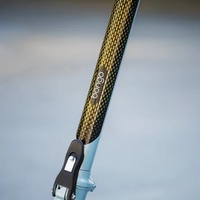 Trotinete elétrica Bongo Serie M20