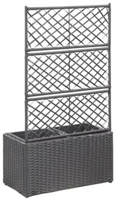 Floreira com treliça e 2 vasos 58x30x107 cm vime PE preto