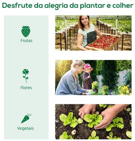 Estufa de Jardim Mini Estufa 240x90x90 cm com Janelas de Malha e Estru