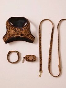 Conjunto de passeio para cão: arnês + trela + coleira.  café