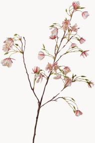 Ramos artificiais Elaeocarpus, conjunto de 2
