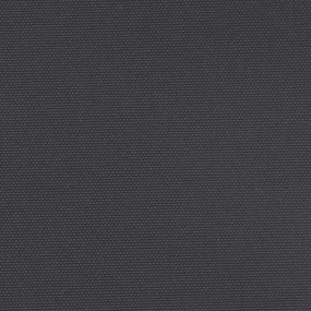 Toldo lateral retrátil 160x300 cm preto