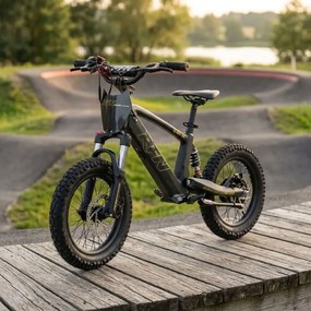 Bicicleta elétrica infantil 350W 16" Roan RXF Evo-S Preta e Dourada