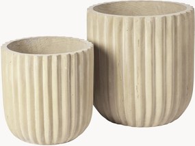 Vasos Fiber, conjunto de 2