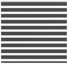 vidaXL Cortina de zebra 160x150 cm largura do tecido 155,9cm poliéster