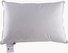 Almofada de plumas de três câmaras Jack The Dullard, firme