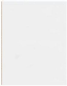 Sapateira 80x35x45 cm derivados de madeira branco brilhante