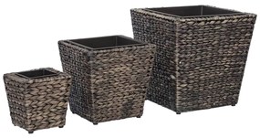 Vasos/floreiras 3 pcs jacinto de água castanho